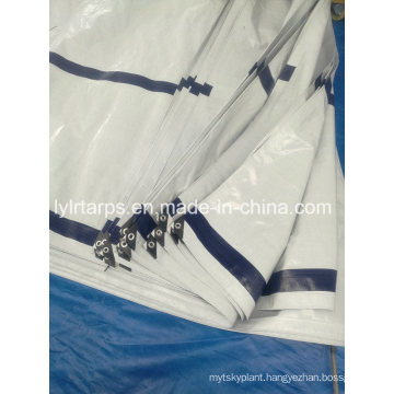 China Plastic Tarpaulin Factory, Finished PE Tarpaulin Sheet, Poly Tarpauiln Truck Cover, Polyethylene Tarpaulin